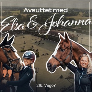 216. Vego?