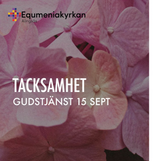 240915 - TACKSAMHET - Peter Pop Lundbäck