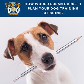 How Would Susan Garrett Plan Your Dog Training Sessions? #131
