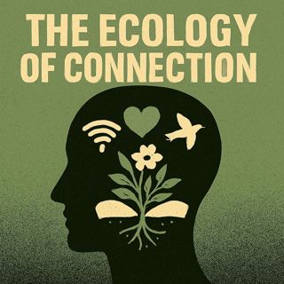 The Ecology of Connection