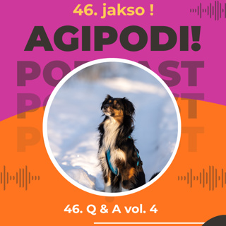 46. Q & A vol 4