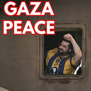 Turning a Ceasefire into Lasting Peace