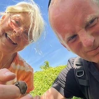 Konsten att äta mördarsniglar