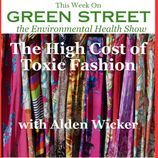 The High Cost of Toxic Fashion