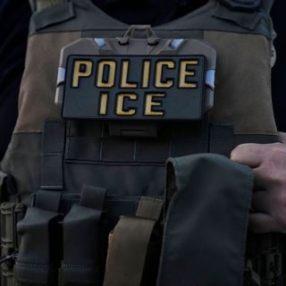 Trump Takes Down US Immigration System