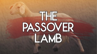 The Passover Lamb