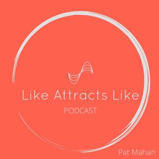 FINDING THE PATH TO TRUE BALANCE IN YOUR LIFE: #219