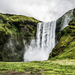 How nature restores the mind