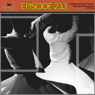 Episode 233 - Understanding the Space Between Movements in Forms