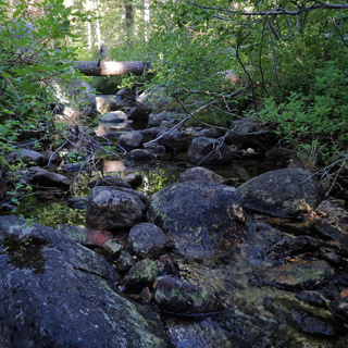 186: Russian Wilderness- Sugar Creek