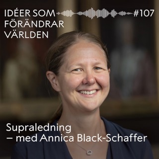 Supraledning – med Annica Black-Schaffer