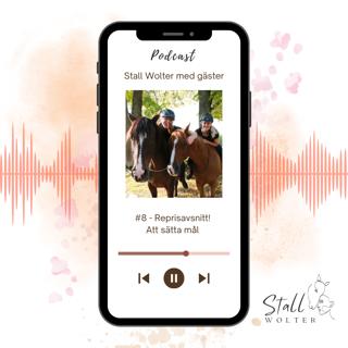 #8 - Reprisavsnitt! Att sätta mål