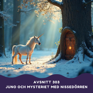 Juno och mysteriet med nissedörren