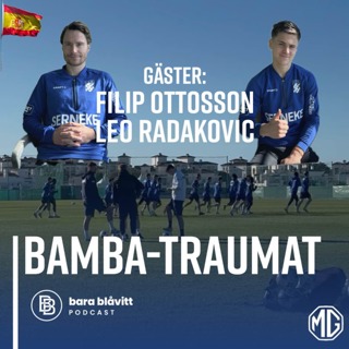 717. Bamba-Traumat