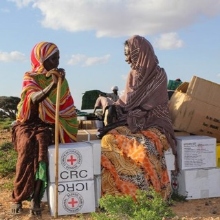 What does ‘back to basics’ mean for gender and the fundamental principles?