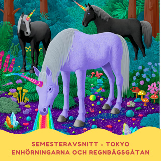 Enhörningarna och regnbågsgåtan