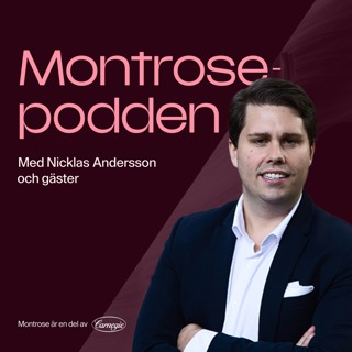 #51 - Hur bör man tänka och agera när det stormar på börsen?