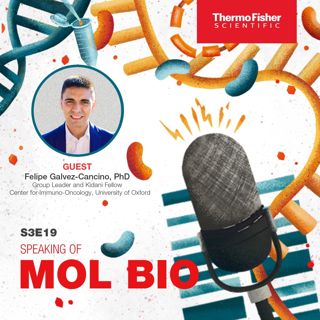 Unlocking phagocytosis―a look at advanced cancer immunology