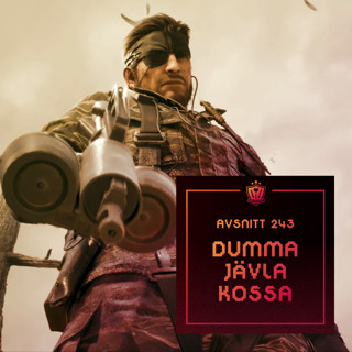 243. Dumma jävla kossa