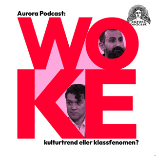 Woke: kulturtrend eller klassfenomen?