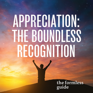 Appreciation: The Boundless Recognition 🌌