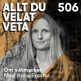 Allt du velat veta