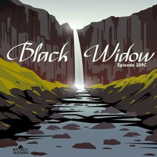 209C-Viking Legends: Black Widow