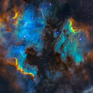 #18 — The Multiverse & You (& You & You & You...)