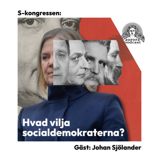 S-kongressen: Hvad vilja socialdemokraterna?