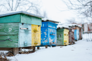 Ep. 161 Preparing Your Bees for Winter