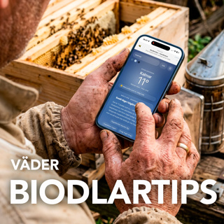 Biodlarväder