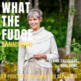 W41. Elaine Callicoat - NeuroBalansTerapi - NBT - Nervsystemet, en nyckel till läkning