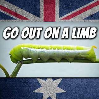 AE 517 - Expression: Go Out On A Limb