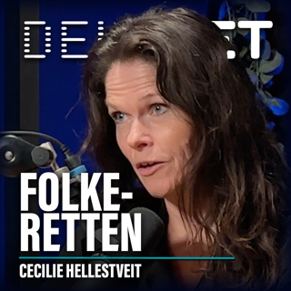 Cecilie Hellestveit I Det offentlige ordskiftet, Mediestormen, Krigens folkerett, Folkemord, Ukraina, Gaza, Iran.