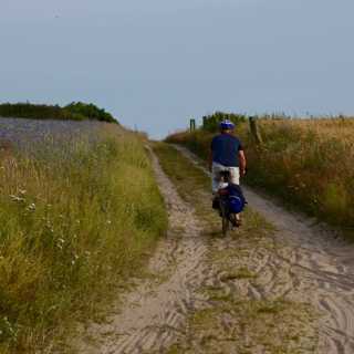 Flykten från ekorrhjulet