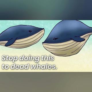 Why Whales Become More Dangerous When Dead