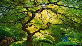 Tranquil Guided Meditation for Spiritual Awakening (7 min) | After Skool