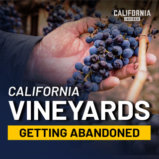 Why California’s Wine Industry Is Under Strain Right Now