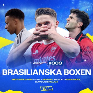 #309 Brasilianska boxen