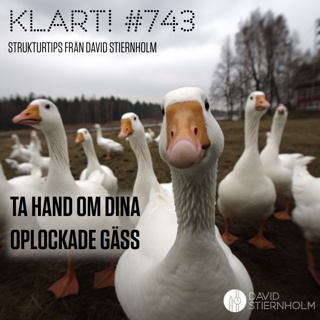 Ta hand om dina oplockade gäss