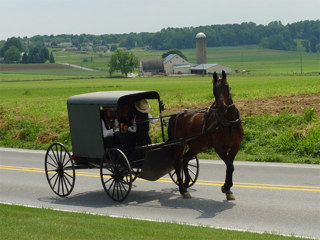The Amish