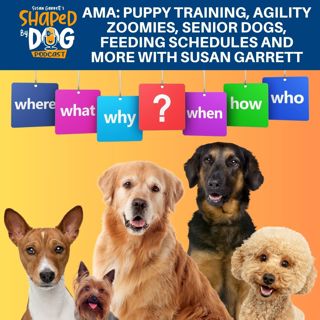 AMA: Puppy Training, Agility Zoomies, Senior Dogs, Feeding Schedules And More With Susan Garrett #249