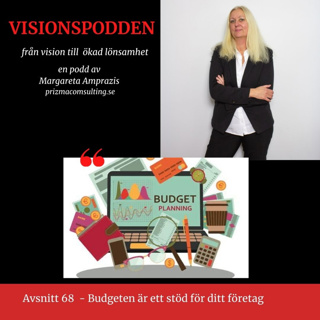 Avsnitt 68 - Budget är ett stöd