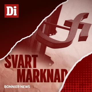 Nasdaqhärvan - granskningen, jävet och 100 miljonersboten (2/2)