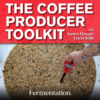 Producer Toolkit: Fermentation, Pt 3 — Is using yeast cheating? And who decides?