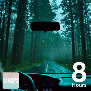 Calming Rainfall on a Car Ride Through the Night Forest (8 Hours)