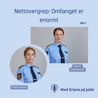 #1 - Omfanget er enormt