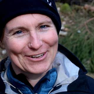 Nordsvenskar i arbete och ormar på hugget