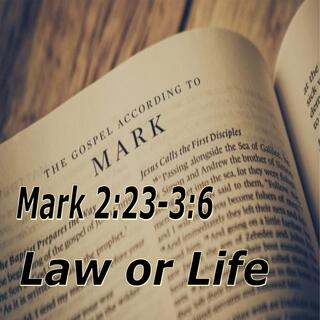 Mark 2:23–3:6. Law or Life?