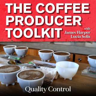 The Coffee Producer Toolkit #6: Quality Control